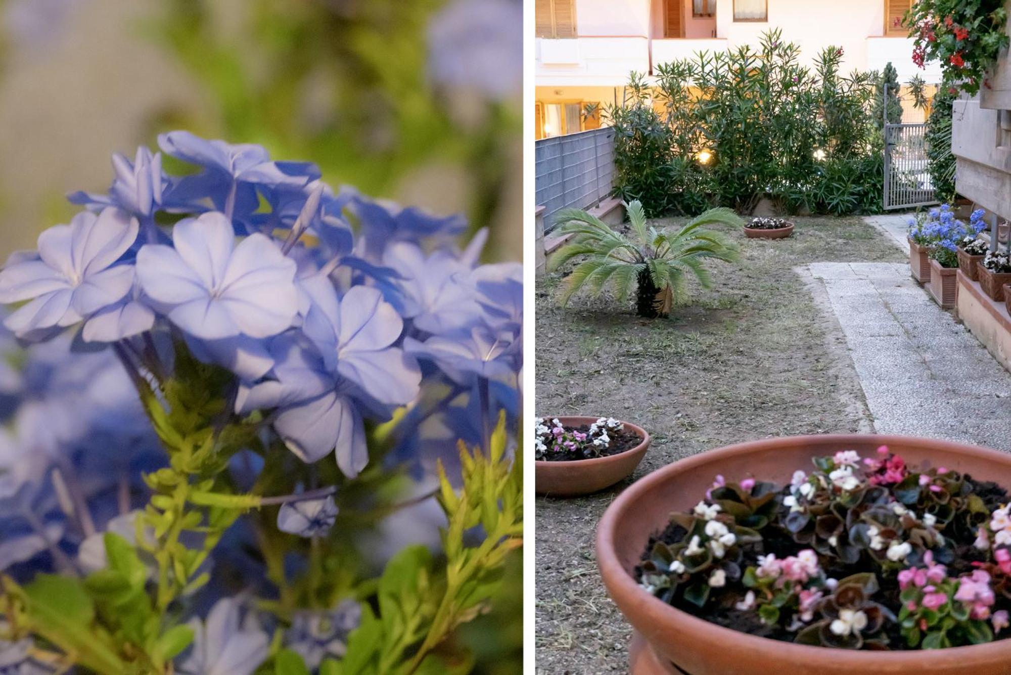 Апартаменти Il Giardino Чивітанова-Марке Екстер'єр фото